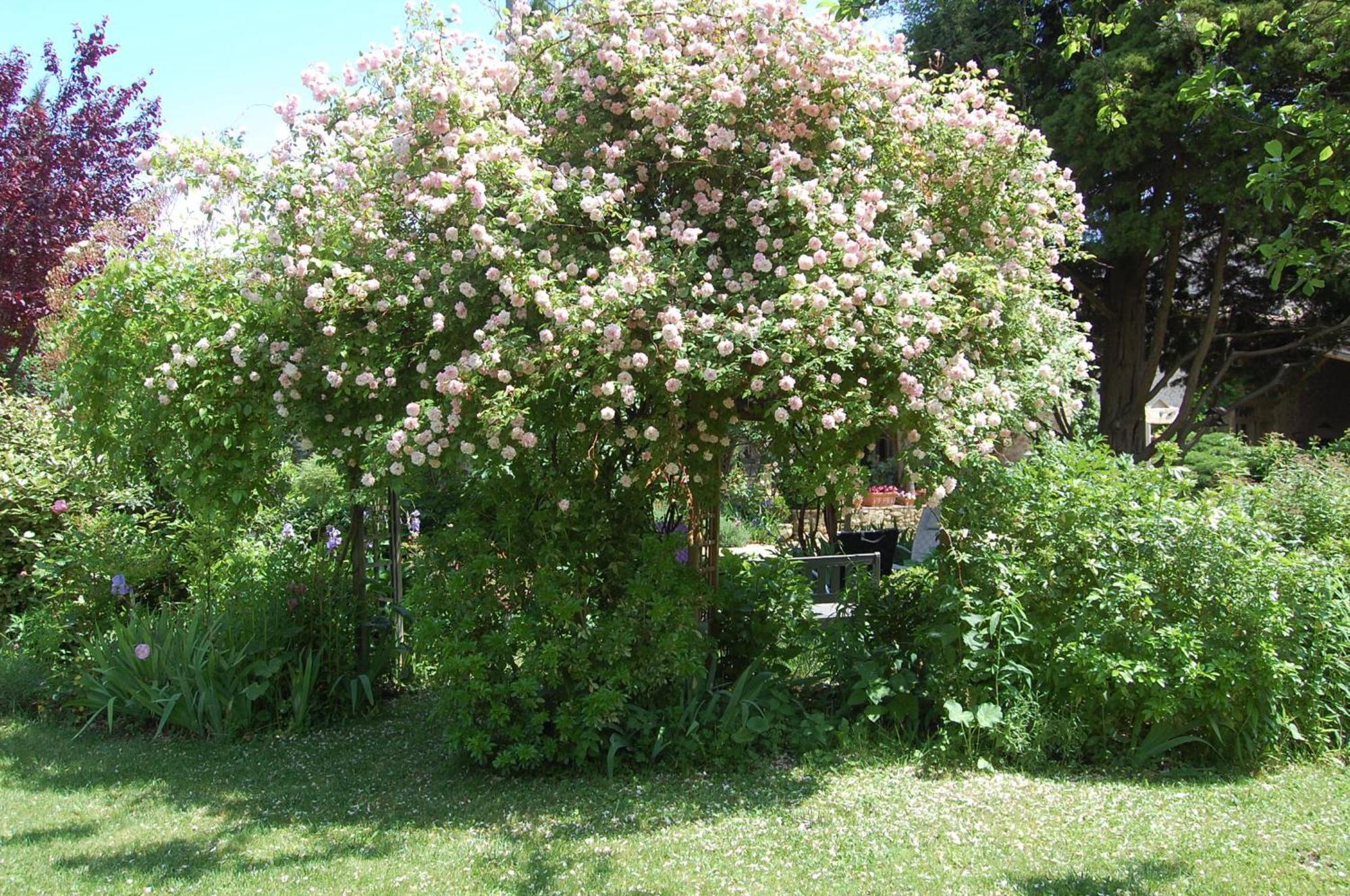 Bed and Breakfast Le Mas Des Clots Upie Zewnętrze zdjęcie